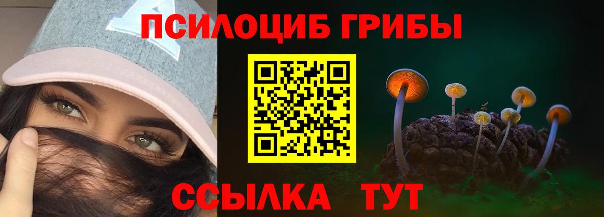 Йошкар-Ола  Галлюциногенные грибы Psilocybine cubensis  Вход с VPN 